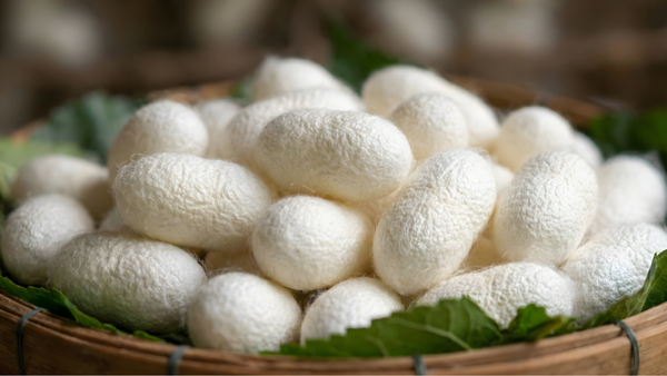 知っているようで知らない「シルク」の本当のお話。私たちが5Aランクの生糸にこだわり続ける理由